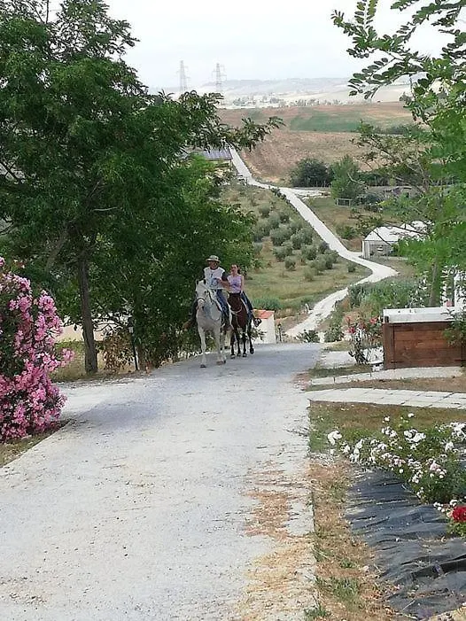 Glamping Tenuta San Pierino Agriturismo Rosignano Marittimo